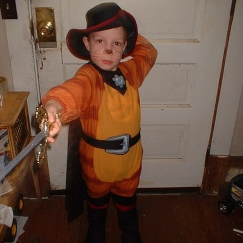 Puss In Boots From Shrek Costume Carbon Costume Diy D vrogue.co